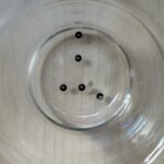 水の中のスパンコール