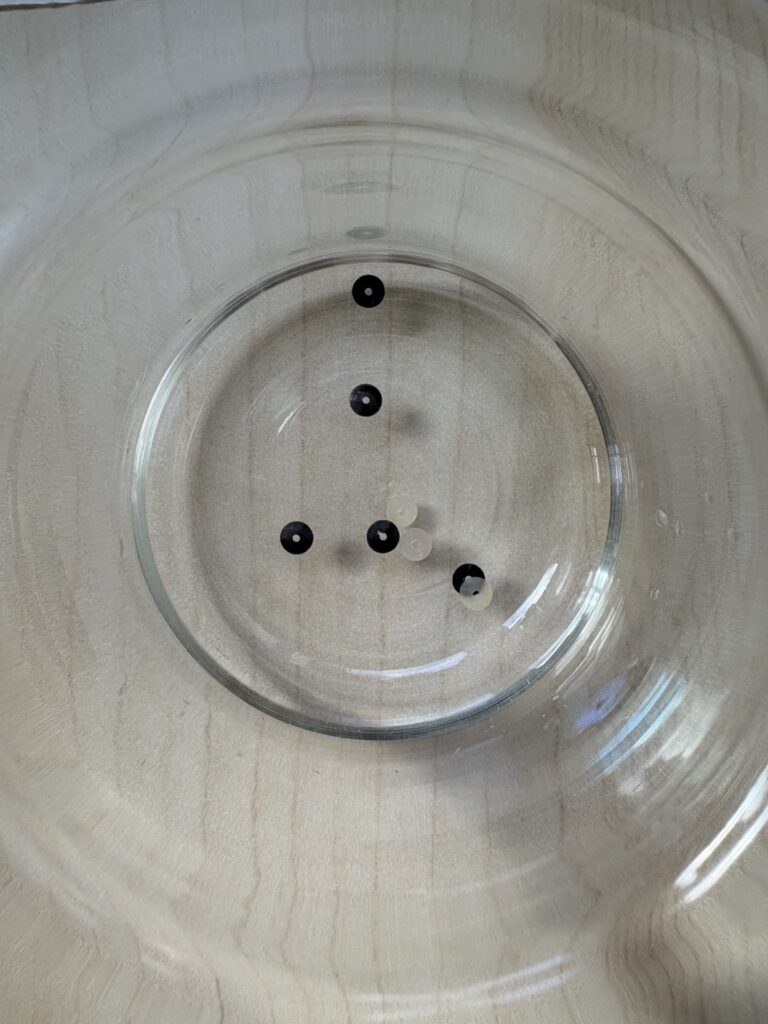 水の中のスパンコール